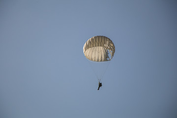Jump of paratrooper with white parachute, Military parachute jumper in the sky.