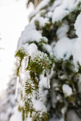 comme arrêté par le temps