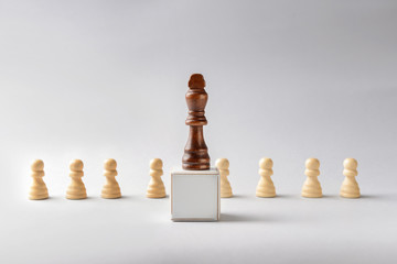 Chess pieces on light background