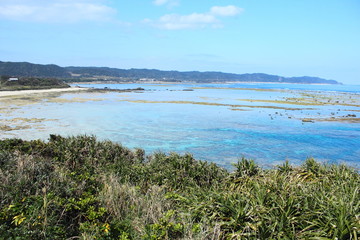 奄美大島の風景