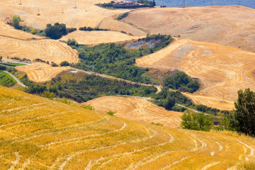view of typical Tuscany landscape in summer, Italy