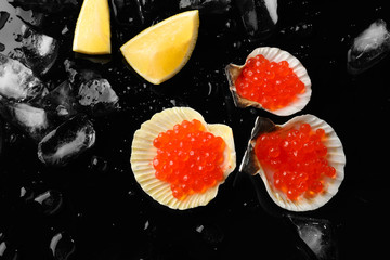 Seashells with delicious red caviar and ice on dark background