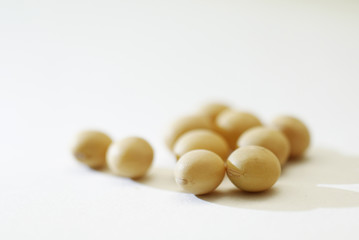 close up  soybeans