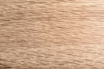 Naklejka premium Wooden texture, closeup