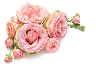 Obraz na płótnie Canvas Beautiful pink roses on white background