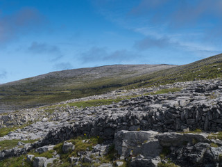 wild irish landscape