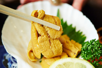 Uni, fresh sea urchin 