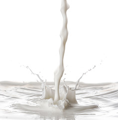 Splash of milk on white background