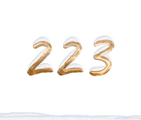 Gold Number 223 with Snow on white background