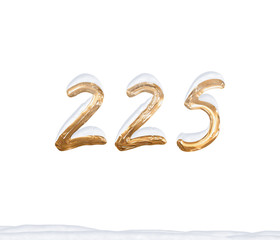 Gold Number 225 with Snow on white background