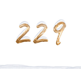 Gold Number 229 with Snow on white background
