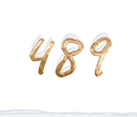 Gold Number 489 with Snow on white background