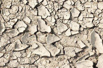 Earth, cracked from the heat. Drought. Close-up.