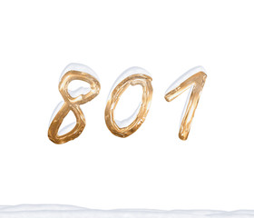 Gold Number 801 with Snow on white background