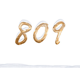 Gold Number 809 with Snow on white background