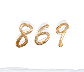 Gold Number 869 with Snow on white background