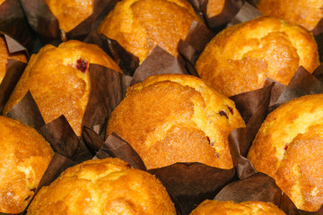 fresh muffins in paper wrapper on the counter close-up..