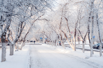 beautiful winter city alley on a sunny day, trees in the snow