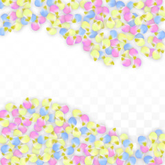 Vector Realistic Colorful Petals Falling on Transparent Background.  Spring Romantic Flowers Illustration. Flying Petals. Sakura Spa Design. Blossom Confetti. Design Elements for Wedding Decoration.