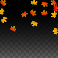 September Vector Background with Golden Falling Leaves. Autumn Illustration with Maple Red, Orange, Yellow Foliage. Isolated Leaf on Transparent Background. Bright Swirl. Suitable for Posters.