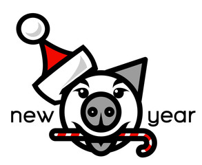 pig of Santa Claus Merry Christmas