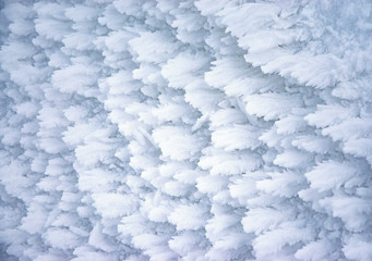 ice wings on frozen snow