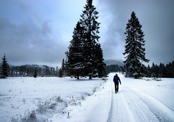 figure of a man walking through a dark winter landscape