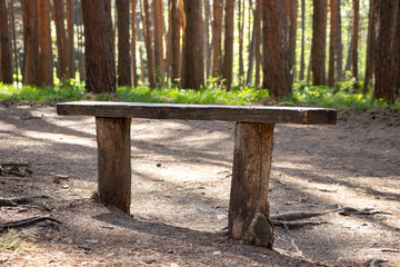 A wooden bench in a pine forest.