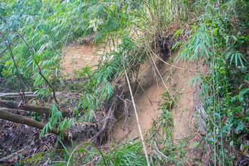 Landslide on Phuket Thailand