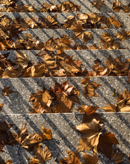 Leaves on steps symbolizing end of autumn