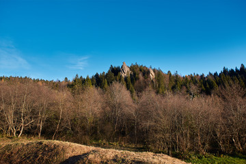 Fototapeta premium sunrise in national park over forest and rocks. the rising sun beautifully illuminates the tops of the pines and the rock ridge