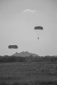 Black and white picture jump of paratrooper with white parachute, Military parachute jumper in the sky.