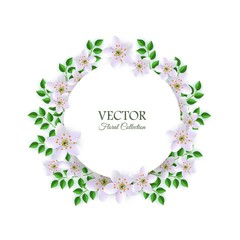 Vector illustration of floral composition with tender light flowers and green leaves around round card with copy space. Natural element with blooms for romantic design isolated on white background.