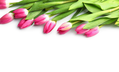 Beautiful tulips for Mother's Day on white background