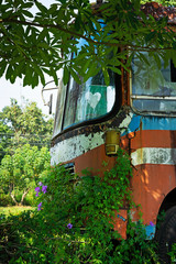 Verschrotteter Bus in der Natur