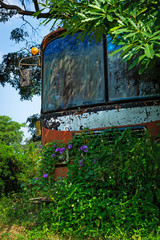 Verschrotteter Bus in der Natur