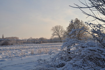 Winterlandschaften