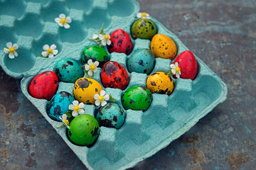 Beautiful Easter still life. Easter eggs in the cell and the flowers. Soft focus