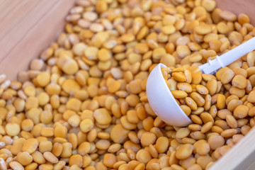 View of sales countertop with lupines in the traditional market