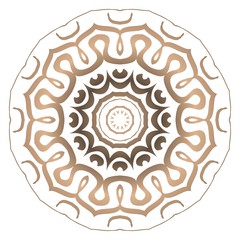 Modern Decorative Cicle Shapes. Floral mandala. vector illustration.