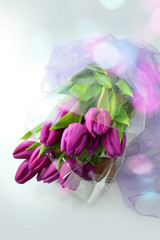 purple spring tulips in bouquet