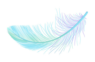 Feather, fluff, fuzz realistic 3d. Colored, blue, purple, green. Pooh, lightness, airiness.