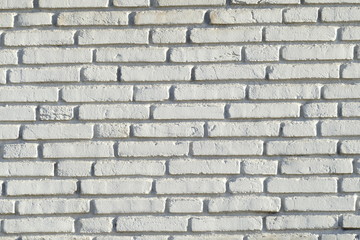 Weisse Ziegelsteinmauer, Ziegelsteine