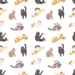 Obraz premium Seamless pattern with purebred cats sleeping, walking, washing, stretching itself on white background. Backdrop with adorable pets. Flat cartoon vector illustration for wallpaper, textile print.