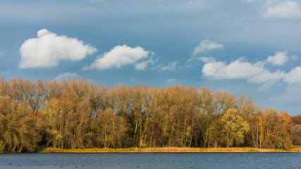 Autumn in the park near De Gavers lake.