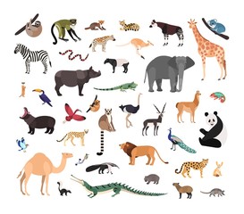 Collection of exotic wild animals isolated on white background. Bundle of fauna species living in savannah, jungle and desert. Wildlife set. Colorful vector illustration in flat cartoon style.