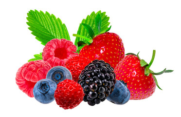 Collection of wild berries on a white background with clipping path
