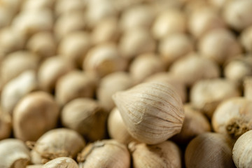 Garlics with Blur background