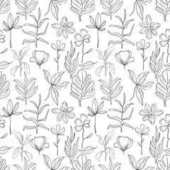 Hand drawn pattern sketch style Wild flowers . Line nature style,Drawing flora,hand drawn botany.
