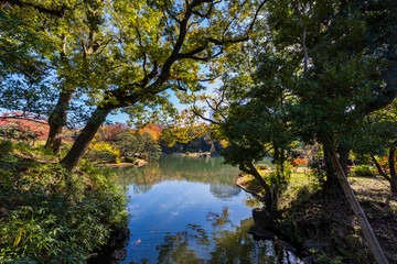 秋の六義園 大名庭園の風景